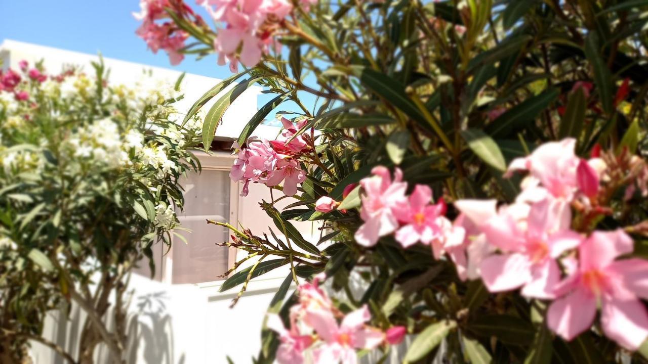 Little Loft Playablanca Leilighet Playa Blanca  Eksteriør bilde
